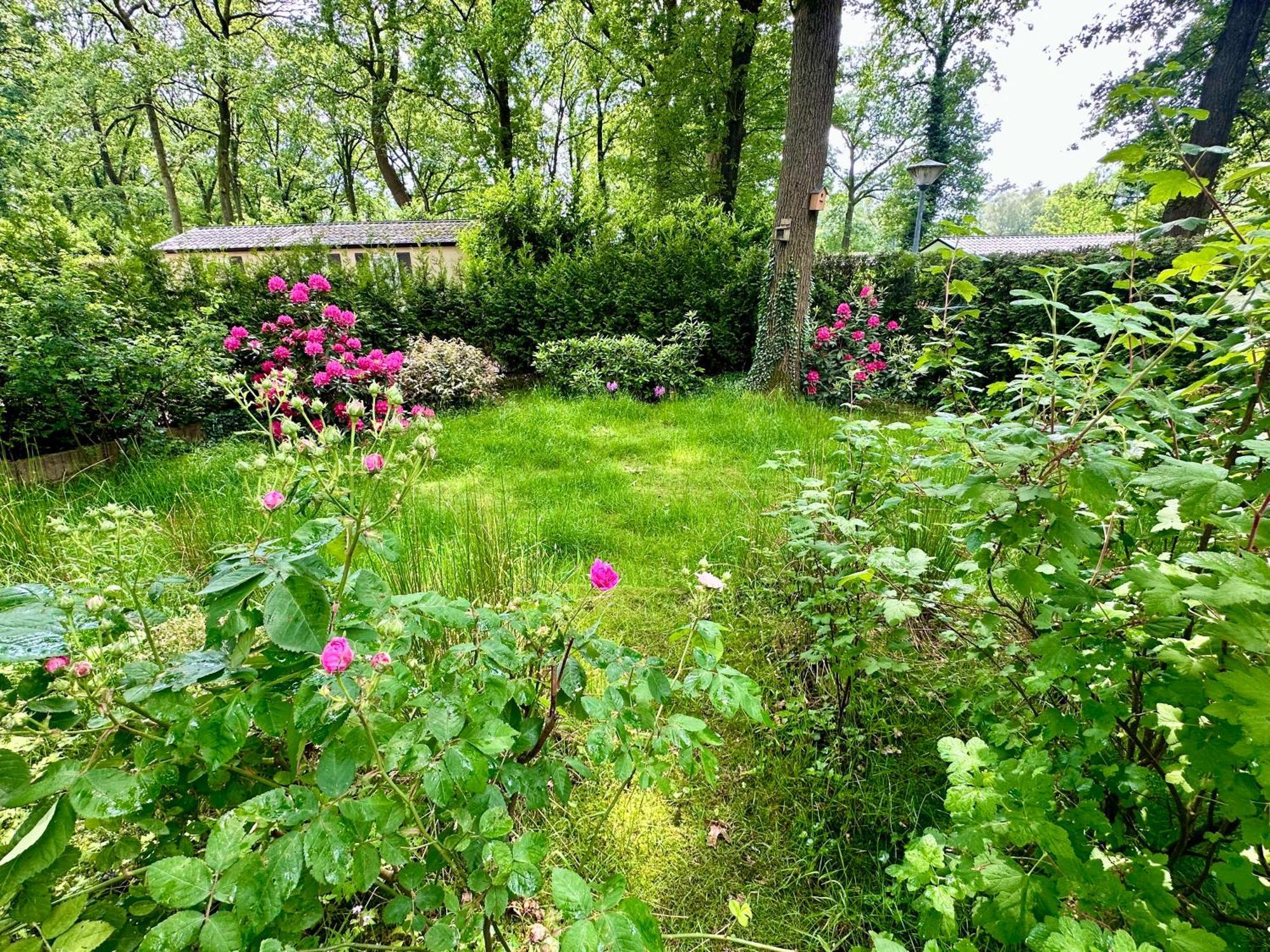 Vakantie Veluwe Вагенинген Экстерьер фото