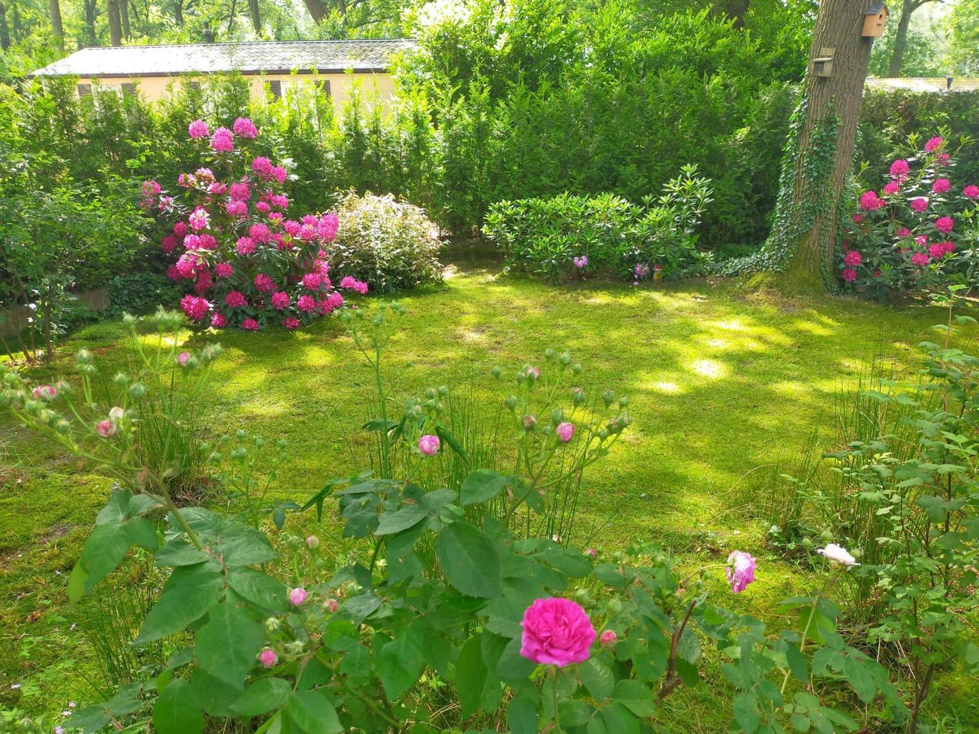 Vakantie Veluwe Вагенинген Экстерьер фото